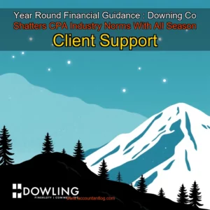 Artistic representation for Year Round Financial Guidance : Downing Co Shatters CPA Industry Norms With All Season Client Support
