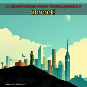 Artistic representation for Us expat investment choices: investing stateside or abroad?
