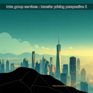 Artistic representation for Intra group services : transfer pricing perspective II
