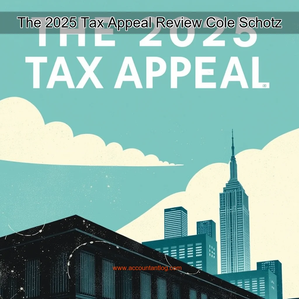 Artistic representation for The 2025 Tax Appeal Review Cole Schotz