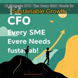 Artistic representation for 12 Strategic CFO Tips Every SME Needs for Sustainable Growth