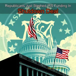 Artistic representation for Republicans Just Slashed IRS Funding In Shutdown Deal