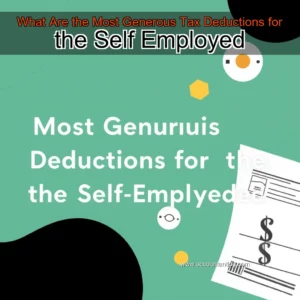 Artistic representation for What Are the Most Generous Tax Deductions for the Self Employed
