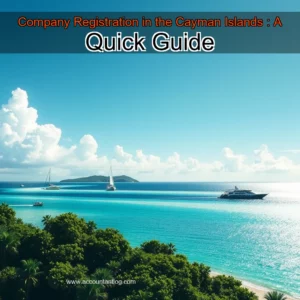 Artistic representation for Company Registration in the Cayman Islands : A Quick Guide