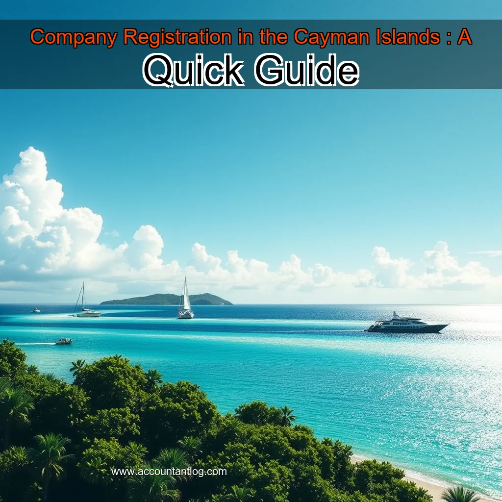 Artistic representation for Company Registration in the Cayman Islands : A Quick Guide