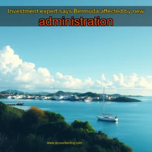 Artistic representation for Investment expert says Bermuda affected by new administration