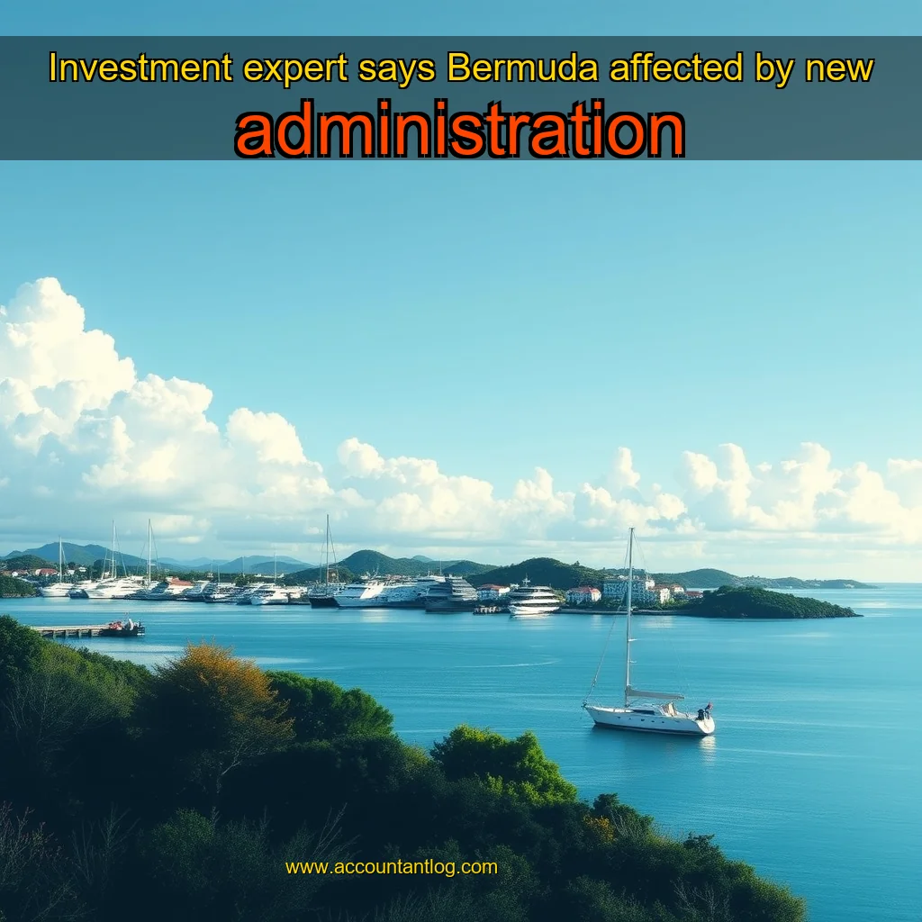 Artistic representation for Investment expert says Bermuda affected by new administration