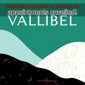 Artistic representation for Vallibel board expansion: four strategic new appointments unveiled!