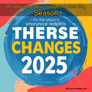 Artistic representation for IRS Announces These Changes For 2025 Filing Season