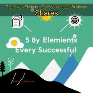 Artistic representation for The 5 Key Elements Every Successful Business Shares