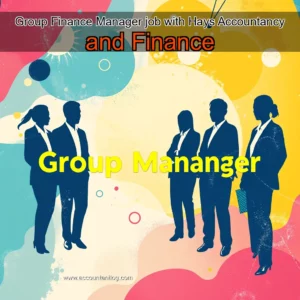 Artistic representation for Group Finance Manager job with Hays Accountancy and Finance