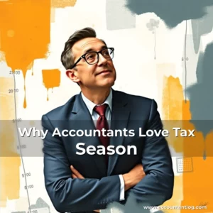 Artistic representation for Why Accountants Love Tax Season