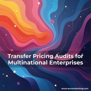 Artistic representation for Transfer Pricing Audits for Multinational Enterprises