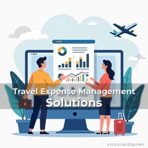 Artistic representation for Travel Expense Management Solutions
