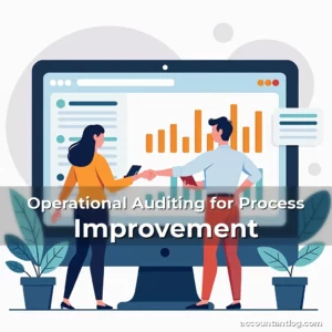 Artistic representation for Operational Auditing for Process Improvement