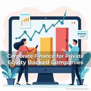 Artistic representation for Corporate Finance for Private Equity Backed Companies