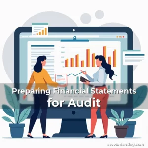 Artistic representation for Preparing Financial Statements for Audit