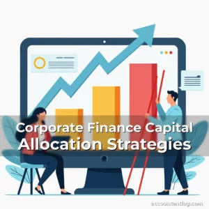 Artistic representation for Corporate Finance Capital Allocation Strategies