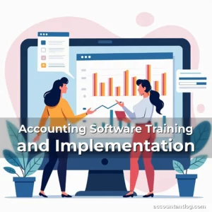 Artistic representation for Accounting Software Training and Implementation