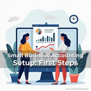 Artistic representation for Small Business Accounting Setup: First Steps