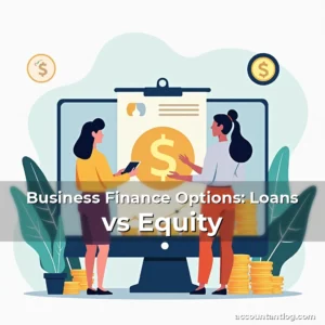 Artistic representation for Business Finance Options: Loans vs Equity