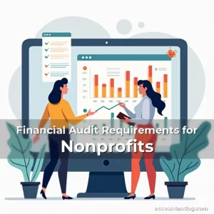Artistic representation for Financial Audit Requirements for Nonprofits