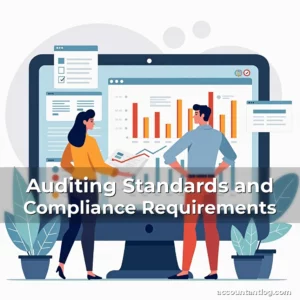 Artistic representation for Auditing Standards and Compliance Requirements