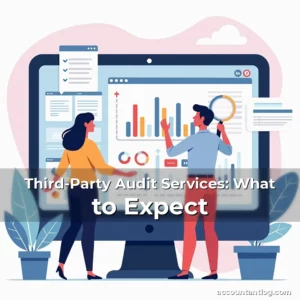 Artistic representation for Third-Party Audit Services: What to Expect