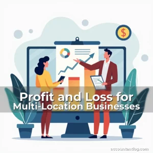 Artistic representation for Profit and Loss for Multi-Location Businesses