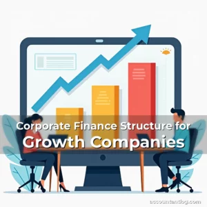 Artistic representation for Corporate Finance Structure for Growth Companies