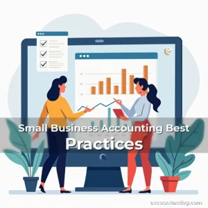 Artistic representation for Small Business Accounting Best Practices