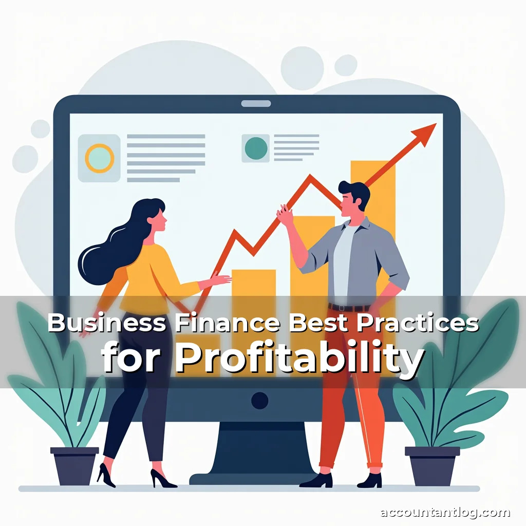 Artistic representation for Business Finance Best Practices for Profitability
