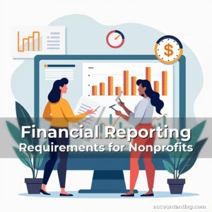 Artistic representation for Financial Reporting Requirements for Nonprofits