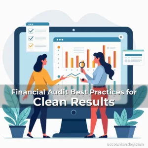 Artistic representation for Financial Audit Best Practices for Clean Results