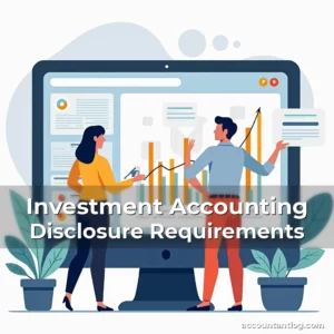 Artistic representation for Investment Accounting Disclosure Requirements