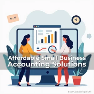 Artistic representation for Affordable Small Business Accounting Solutions