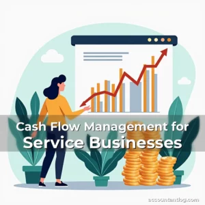 Artistic representation for Cash Flow Management for Service Businesses